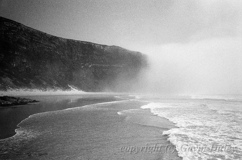 Sea Fog, Penguin Beach, Dunedin 00570016.JPG - Kodak TriX 400 film